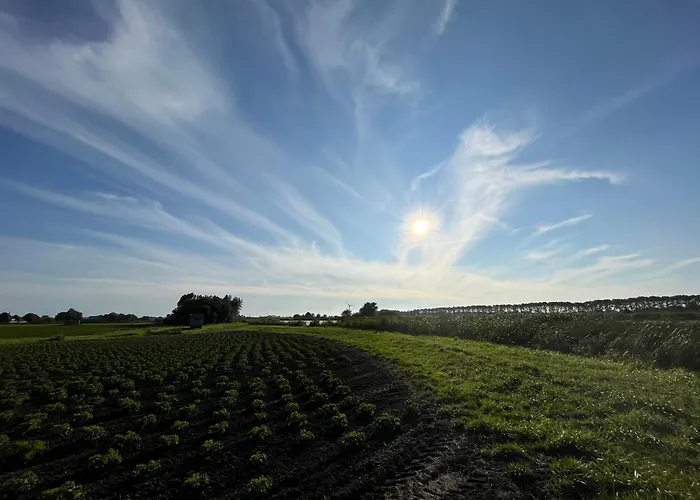 Camping De Meerkoet *
